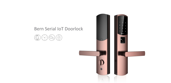 Bern Iot Lock Nfc System Technology Services Ltd